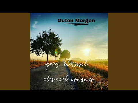 Putar Saint-Saëns: Violin Sonata No. 1 in D Minor, Op. 75: II. Allegro molto - Bertrand Chamayou