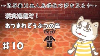 【あつまれどうぶつの森】限界だから無人島に高飛びします。#10【金色ホロウ】