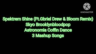 Spektrem Shine (Ft.Gabrel Remix) & Skyo Brooklynbloodpop & Astronomia Coffin Dance Mashup Songs
