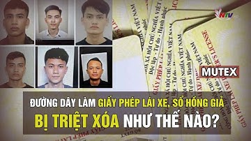 Đường dây làm giấy phép lái xe, sổ hồng giả bị triệt xóa như thế nào? | MUTEX