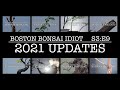 S3e92021 bonsai project updates