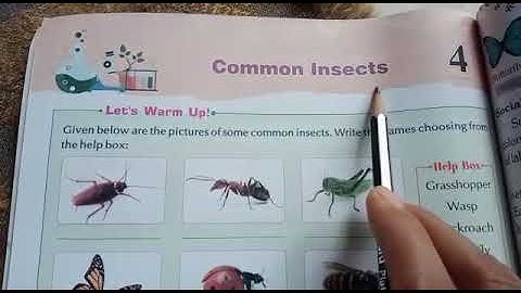 L-4 common insects class III G.sci