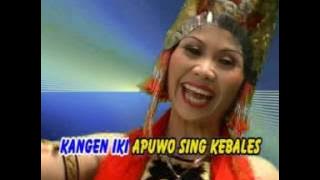 Kangen Sing Kebales - Gandrung Mudaiyah (Official Music Video)