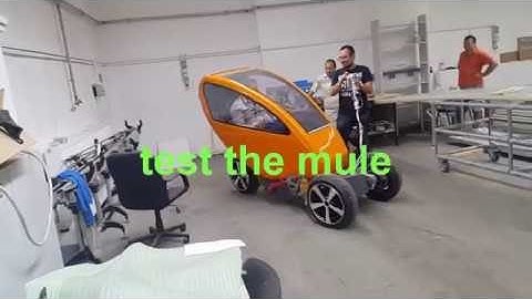 test the mule