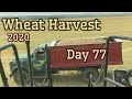 Wheat Harvest 2020 - Day 77 (8/20/20)