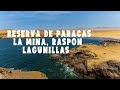 RESERVA DE PARACAS - La Mina, Raspón y Lagunillas + Camping 🌅