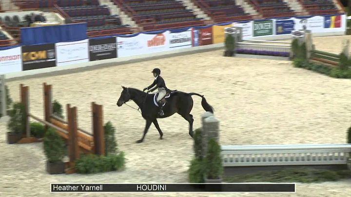 65 HOUDINI Heather Yarnell, Class 42 Amateur Owner 3'3 OF