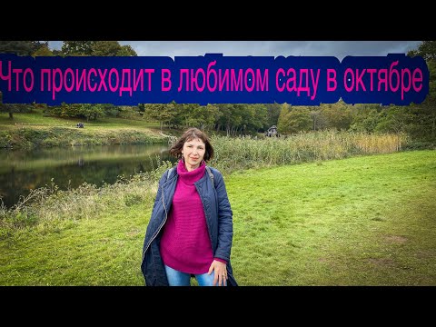 Vlog 195 - Любимый английски сад в октябре. Осенние работы в саду. Что у нас происходит