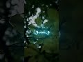 القارئ عبد الرحمن مسعد يا أيها الذين آمنوا اركعوا واسجدوا واعبدوا ربكم وافعلوا الخير لعلكم تفلحون القارئ عبد الرحمن مسعد يا أيها الذين آمنوا اركعوا واسجدوا واعبدوا ربكم وافعلوا الخير لعلكم تفلحون