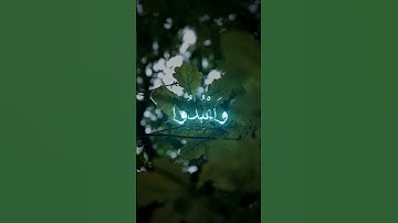 القارئ عبد الرحمن مسعد - يا أيها الذين آمنوا اركعوا واسجدوا واعبدوا ربكم وافعلوا الخير لعلكم تفلحون