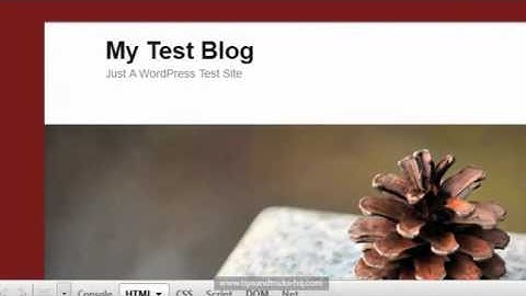 How to use Firebug to Modify Your WordPress Site