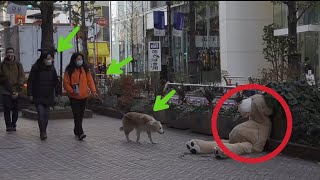 GIANT TEDDY BEAR Scare Prank In Japan 😂 - City Prank