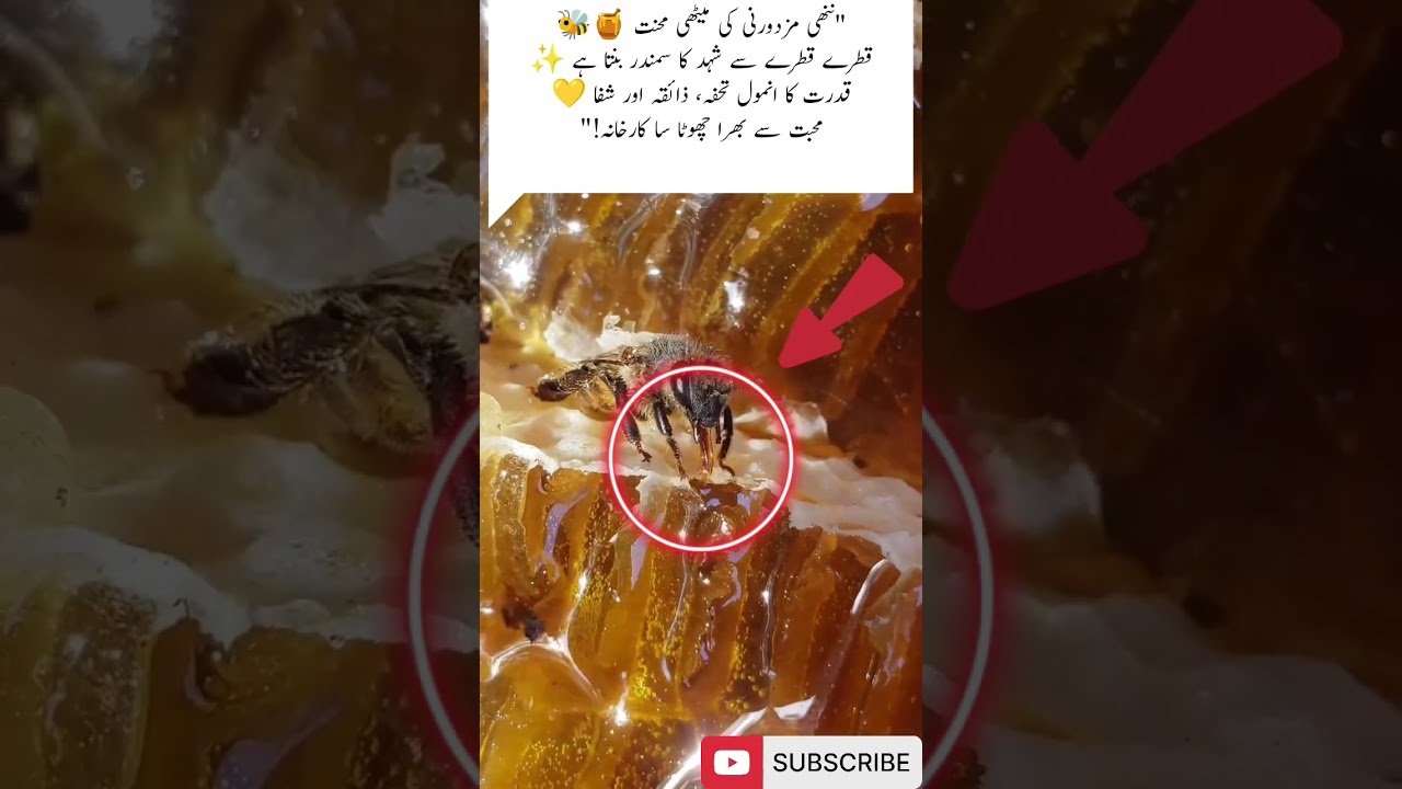 Tiny worker’s sweet labor. 