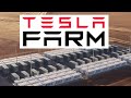 Tesla Battery Farms Will Destroy Utility Grids