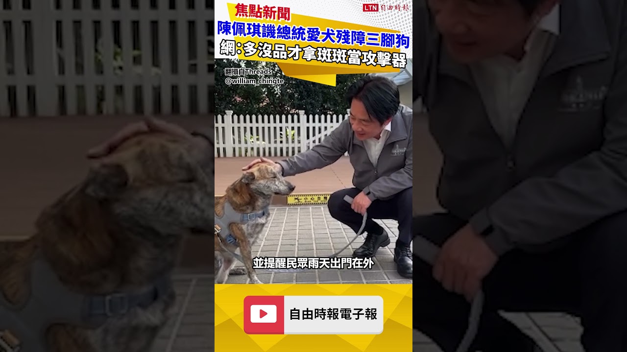 陳佩琪譏總統愛犬「斑斑」殘障三腳狗 網：多沒品的人才會用斑斑當攻擊器