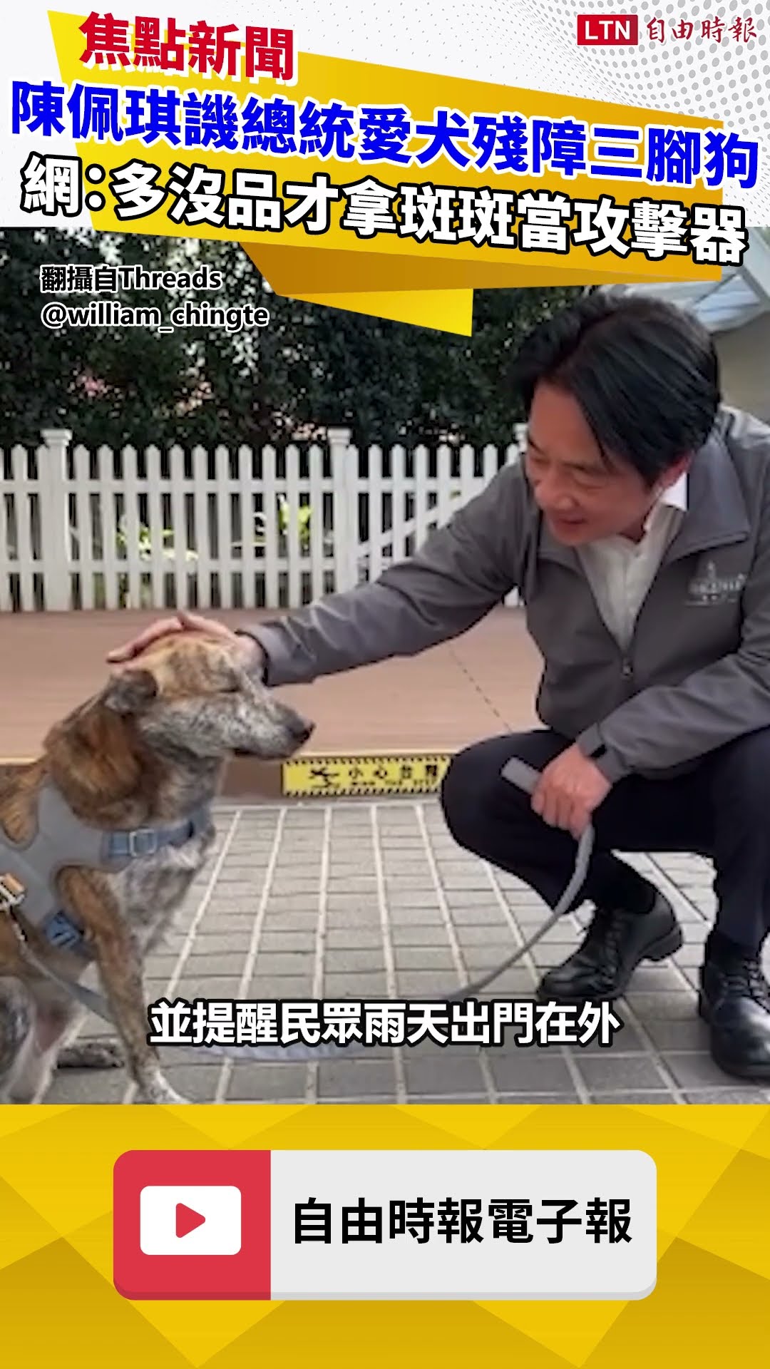 陳佩琪譏總統愛犬「斑斑」殘障三腳狗 網：多沒品的人才會用斑斑當攻擊器