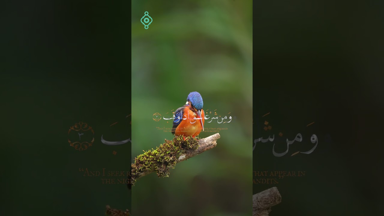 سورة الفلق كاملة للقارئ الشيخ سعد الغامدي  #اكسبلور #salammedia