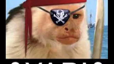 Dolly Parton - Jolene (Robotic Pirate Monkey Remix)