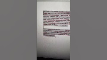 Aprende a alinear el texto en Word