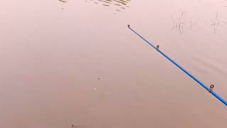 Lin Beautiful Fisherman, Lets Fish With Lin