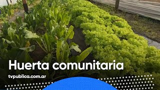 Proyecto Solidario: Huerta Comunitaria de Henderson - Todos Estamos Conectados