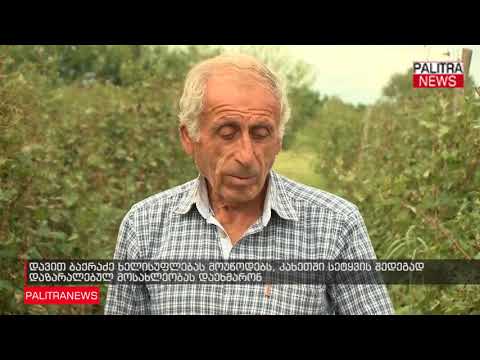 დავით ბაქრაძე ხელისუფლებას მოუწოდებს, კახეთში სეტყვის შედეგად დაზარალებულ მოსახლეობას დაეხმარონ