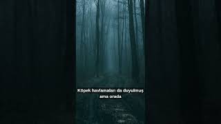 Sisli Ormanda Kaybolan İki Arkadaş Rize, Çamlıhemşin