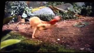 Alvin And The Chipmunks The Chipwrecked - Meerkat Attack!