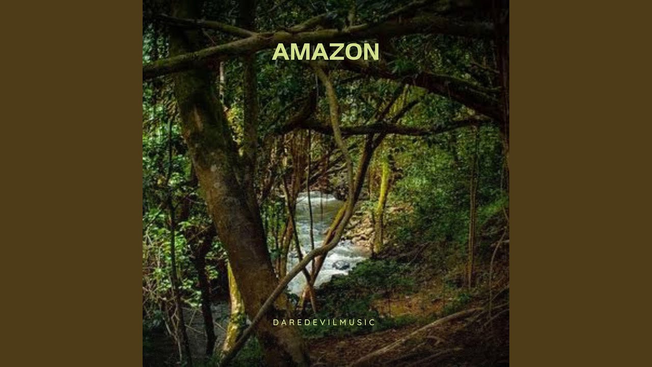 YouTube에서 Amazon 보기 YouTube에서 Amazon 보기