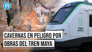 Tren Maya: Tramo 5 pasa por cavernas en las que animales en peligro de extinción beben agua