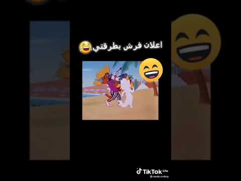 اعلان فرش بس مع القط والفأر