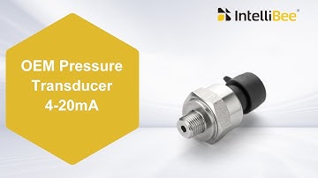 Water Pressure, Oil Pressure, Air Pressure Transmitter, OEM Pressure Transducer 4-20mA - IntelliBee