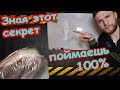 Ловля щуки на живца! Секреты щучьей пасти ! Когда правильно подсекать!  Научная рыбалка!