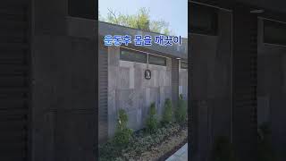 강남세곡체육공원 영상