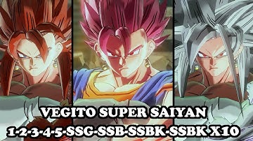 Vegito Transformations (SSJ 1-2-3-4-5-SSG-SSB-SSBK-SSBK X10) - Dragon Ball Xenoverse 2 Mods