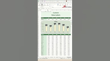 Creating Custom Data Labels in Excel - Excel Tips and Tricks