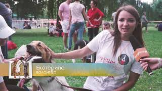 Репортаж “Собаки, которые любят“ - Домашние животные Репортаж “Собаки, которые любят“ - Домашние животные
