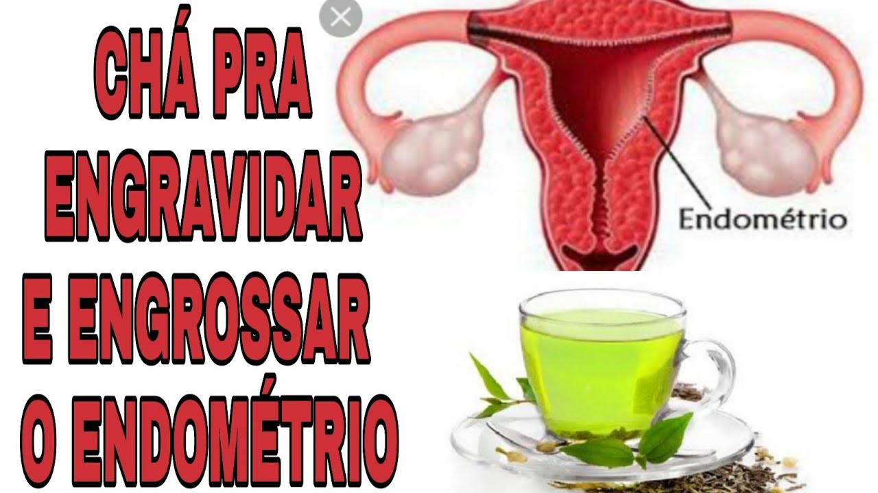 CHÁ PRA ENGROSSAR O ENDOMETRIO E ESPESSURA IDEAL PRA ENGRAVIDAR ...