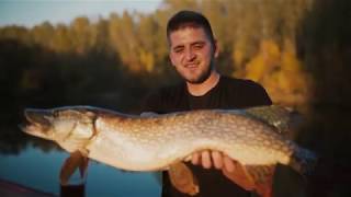 Dunav - ribolov štuke - pecanje na reci