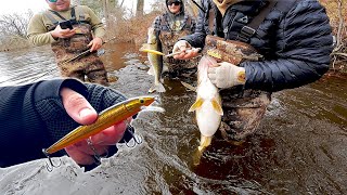 COMBAT Walleye Fishing in Waders! (Crowded River) by Sobi 31,768 views 1 month ago 20 minutes