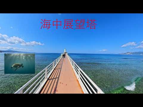 YouTube 動画のサムネイル
