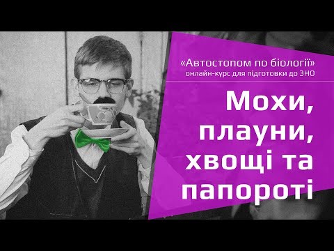 Мохи, плауни, хвощі та папороті – Підготовка до ЗНО – Біологія