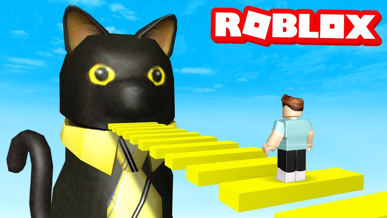 Find Sir Meows A Lot Denis Obby Roblox - making sir meows a lot a roblox account