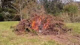 When burning a brush pile, there are a few things to consider. When...
