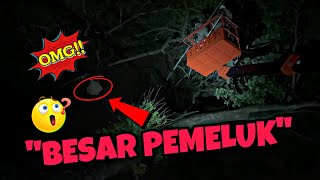 Besarnya Tebuan Tu Tinggi Abang Bomba Naik Musnahkan Tebuan - Celoreng Bomba