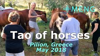 Tao of Horses - Pilion 2018