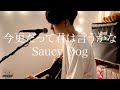 【一発撮り】今更だって君は言うかな / Saucy Dog  cover