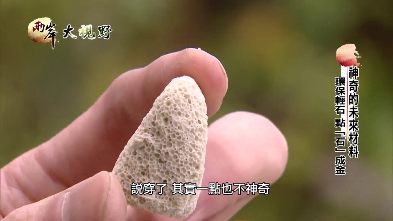 元虹股份有限公司 Mojodor