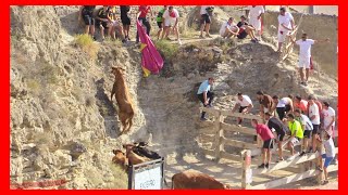 ARGUEDAS ( NAVARRA ) TARDE ENCIERRO DEL ESTRECHO ( SABADO 12 AGOSTO 2023 ) GANAD.USTARROZ