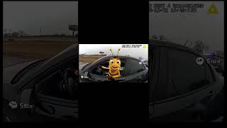 Barry bee Benson body cam vide #beemovie #viral #memes #whatdoyoumeme #memebox #memeoftheweek